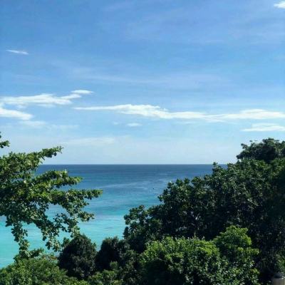 武林红颜bt版下载